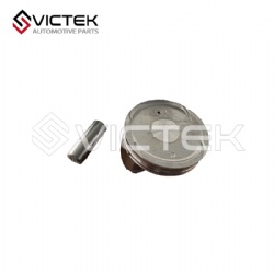 Piston 100401506A1
