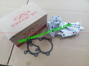 Water Pump 472-1307010