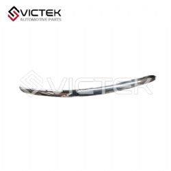 Decoration Strip Assembly-Engine Cover A21-8401120FL