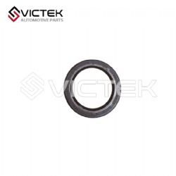 Crankshaft Front Oil Seal 1002019GD190