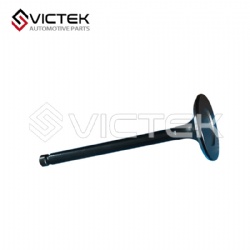 Intake valve LF479Q1-1007011A