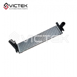 Intercooler assembly 1119100-SF01