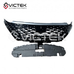 Radiator Grill 602001621AAACL  602002028AAACL