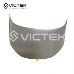 Engine Hood 553000311AADYJ