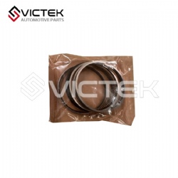 Piston Ring 1004030F0000
