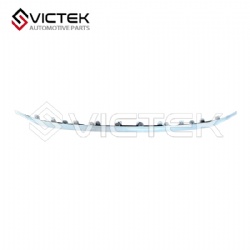 Front Bumper Bright Trim 602001536AA