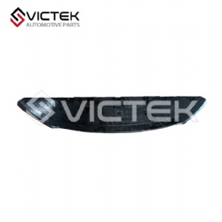 Front Bumper Down Decoration Cover 602002822AA