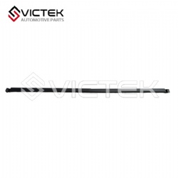 Rear Bumper Decorating Trim, Middle 602000505AA