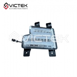 Front day Running Lamp, Left 605000268AA