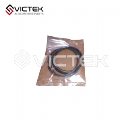 Piston Ring Z300-MW300314