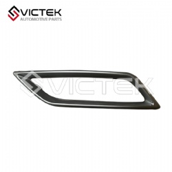 Rear Exhaust Pipe Decoration Trim, Left 602002349AA