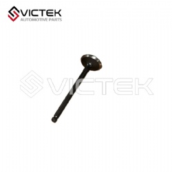 Exhaust Valve 1003201GD050