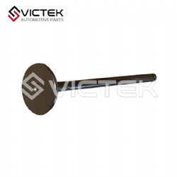 Exhaust Valve LFB479Q-1007011A