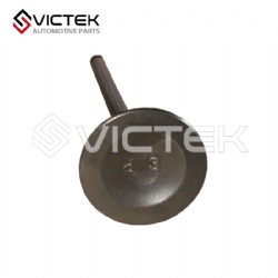 Exhaust Valve 1003201GD050