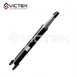 Rear Shock Absorber 2915010U1555