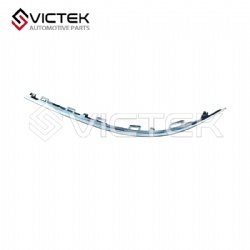 Rear Bumper Decoration Trim, Left 602000934