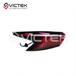 Rear Tail Lamp(Out), Left 605000722AA