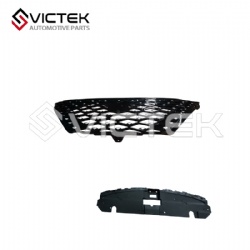 Radiator Grill Black 602002028AAABW