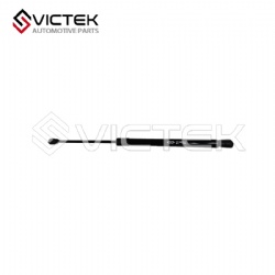 Gas Spring A13-5605110