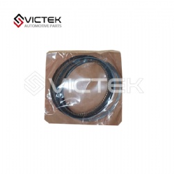 Piston Ring 1650   3005563 3005560 3005561