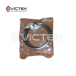 Piston Ring   Z300-MW300314