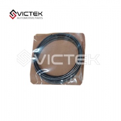 Piston Ring   Z300-MW300314