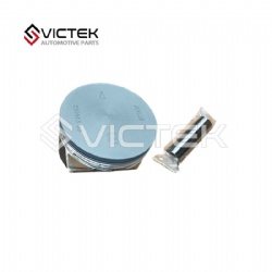 Piston  3103092