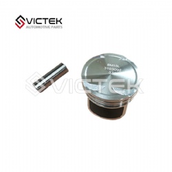 Piston   3103092