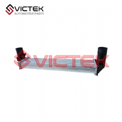 INTERCOOLER ASSY 302000140AA