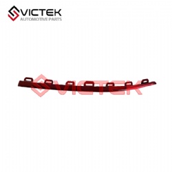 Left bright strip 602002165AAANL