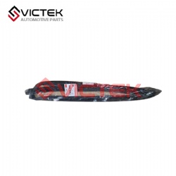 TRACK STRIP-REAR DOOR LEFT F01-6207111