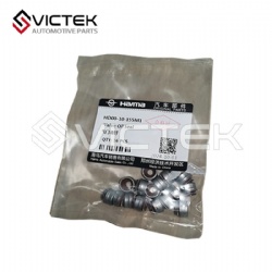Valve Oil Seal   HD00-10-155M1
