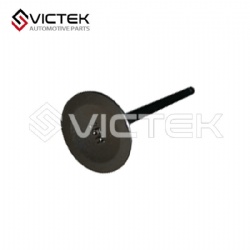 Intake Valve   474Z-12-111T