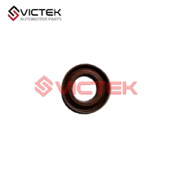 Oil Seal LF479Q1-1003203A