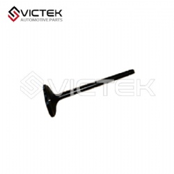 Intake Valve   Z300-MR984260-A01