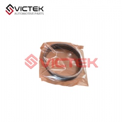 Piston Ring 0.25 484H-BJ1004030BA