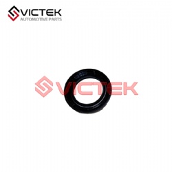 Oil Seal-Diff. QR523-1701203