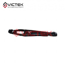 Rear Control Arm, Down A21-2919210
