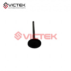 intake valve 1007032E0700