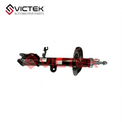 Front Shock absorber, Right 202000335AA
