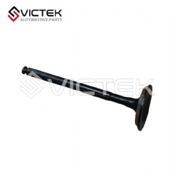 Intake valve  372-1007011
