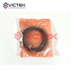 Piston RIng 0.50 E4G16-BJ1004030CA