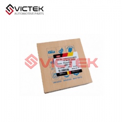 Piston Ring 1004030GD190ZJ