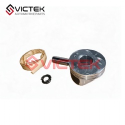PISTON ASSEMBLY 1004010DG300